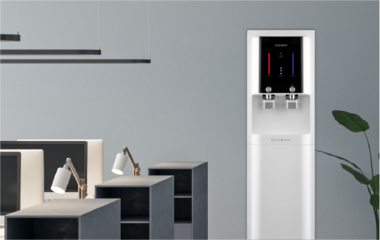 Queen Stand Gallery3b